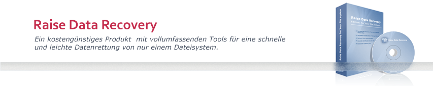 Raise Data Recovery